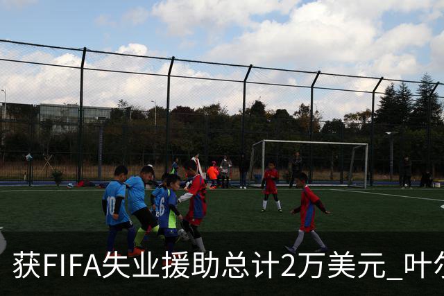 获FIFA失业援助总计2万美元 叶尔杰提成中国球员第一人